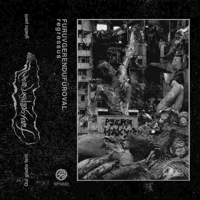 Furuvgerendufuroval (Ukraine) - Regressus tape  -  Spruce Bog image 1