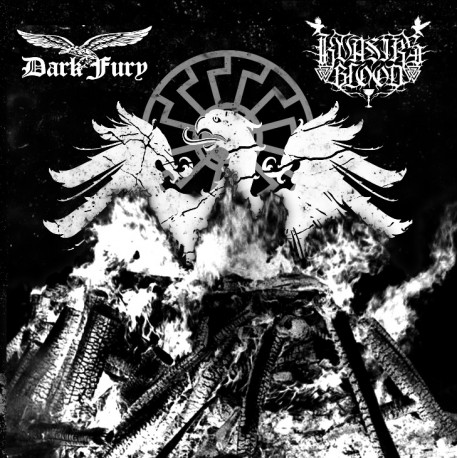 Dark Fury / Kavsir's Blood - Split EP - Lower Silesian Stronghold/Vinlandic Werwolf image 1