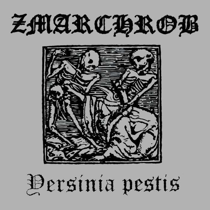 Zmarchrob - Yersinia pestis image 1